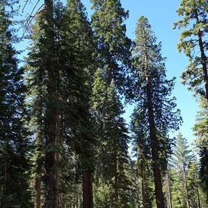 Meet your Posher, Juhee